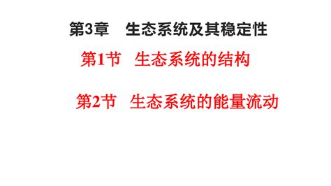 2023届高三生物一轮复习课件：生态系统的结构 能量流动 Word文档在线阅读与下载免费文档