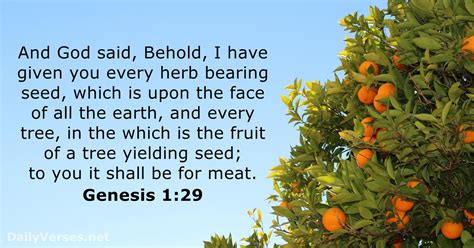 Genesis 129 Bible Verse Kjv