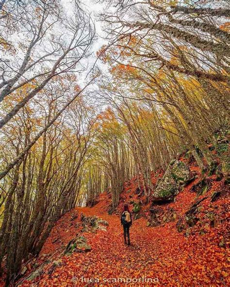 I Luoghi Pi Belli Dove Ammirare Il Foliage In Sicilia Il Tour Fra