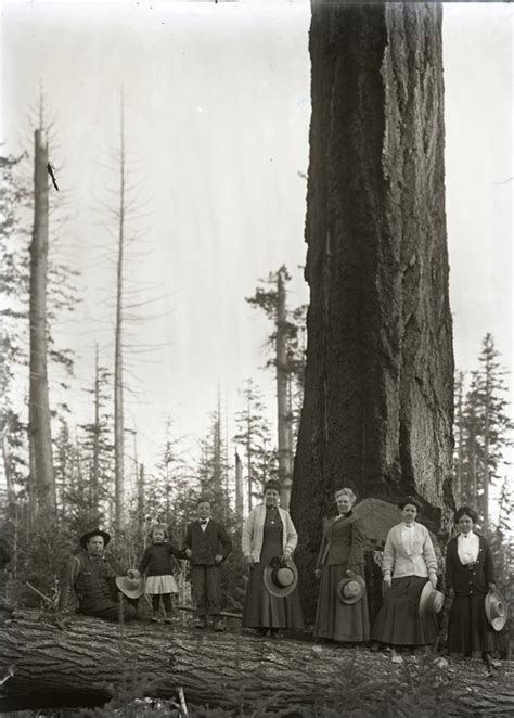 Powell River Historical Museum & Archives (1967.1.35). Photographer Rod ...