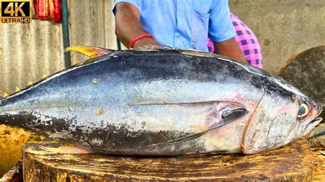 Kasimedu Smile Sekar Big Yellow Fin Tuna Fish Cutting In Kasimedu