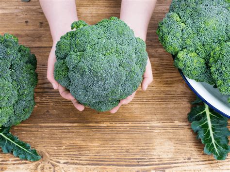 Broccoli Companion Plants A Guide For What What Not To Plant