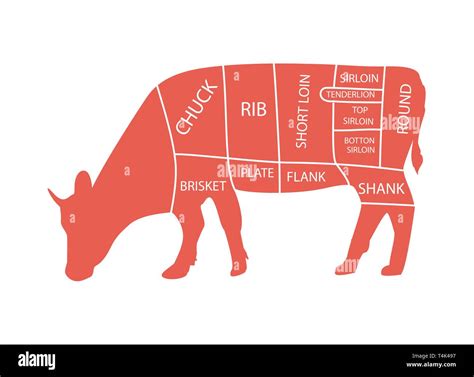 Cut Of Beef Set Poster Butcher Diagram Cow Vintage Typographic Hand Drawn Stock Vector Image