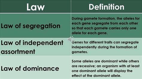 Mendel S Law Of Inheritance