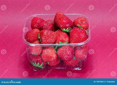 Strawberry In Plastic Packaging Stock Image Image Of Packed Tropica