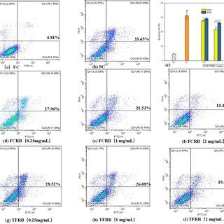 Effects Of The Fcrb On Apoptosis And Necrosis Rates Of Caco Cells