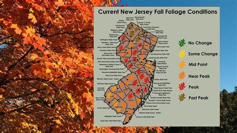 Peak Fall Foliage Weekend Arrives N J Heres A Map Of The Best Spots