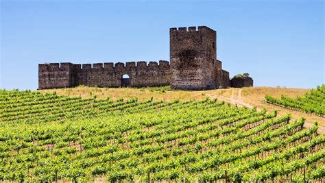 What’s Next for Portuguese Wine? | SevenFifty Daily