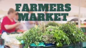 Farmers Market - City of Kennesaw