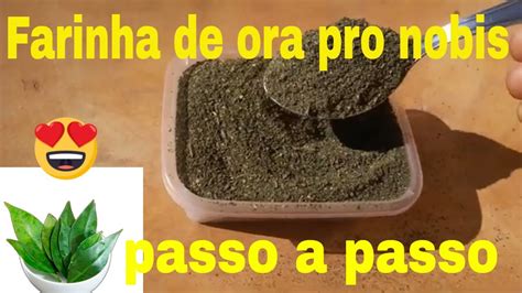 Como Fazer Farinha De Ora Pro Nobis E Para Que Serve O Ora Pro Nobis