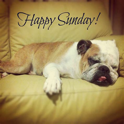 Happy Sunday Pictures, Photos, and Images for Facebook, Tumblr