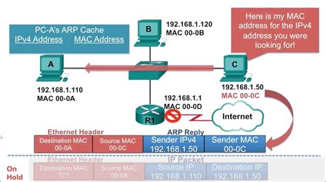 Ccna Arp Operation Arp Reply Youtube