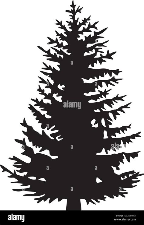 Pine Tree Black And White Vector Illustration Stock Vector Image And Art