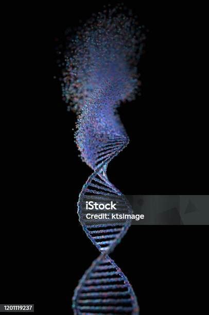 산화 Dna 손상 유전 무질서 분자 구조 Dna에 대한 스톡 사진 및 기타 이미지 Dna Rna 개념 Istock