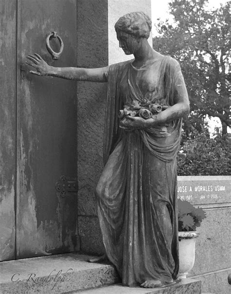 Silent Visitor Photograph by Cheri Randolph - Fine Art America