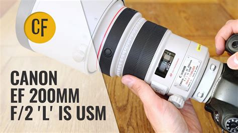 Canon Ef Mm F L Is Usm Lens Review With Samples Youtube