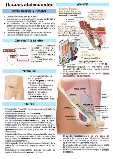 Res Menes De Hernias Descarga Apuntes De Hernias