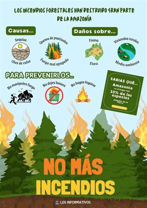 Infograf A Sobre Los Incendios Forestales Y El Cuidado De Bosques