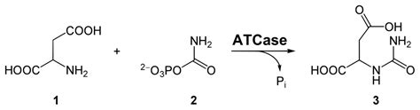 Aspartic Acid Structure Formula Aspartic Acid Foods And Chemical Synthesis