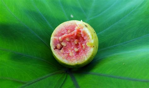 Kostenlose foto Frucht Blatt Blume Lebensmittel Grün produzieren