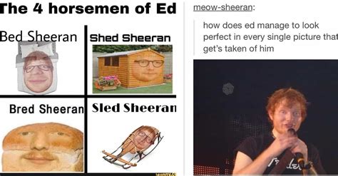 The 24 Funniest Ed Sheeran Memes, Ranked