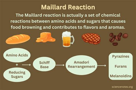 Maillard Reaction