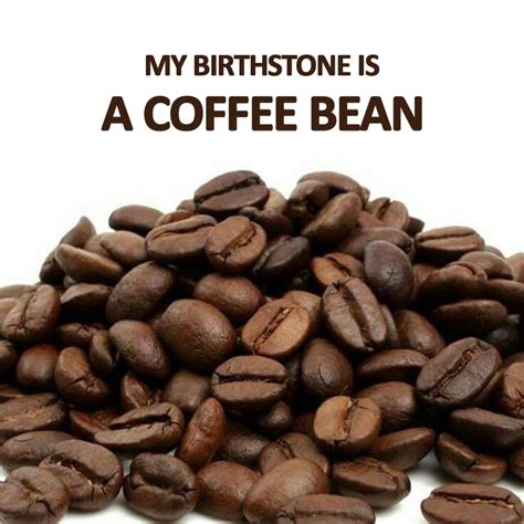 Coffee Bean Funny Quotes – Idalias Salon