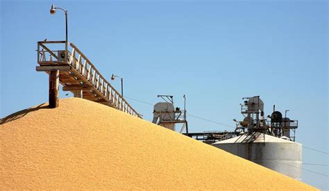 Privatization Of Saudi Flour Mills In Final Stages Says Minister