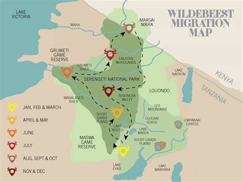 The Great Migration Calving Season 2019 - Great Migration Camps