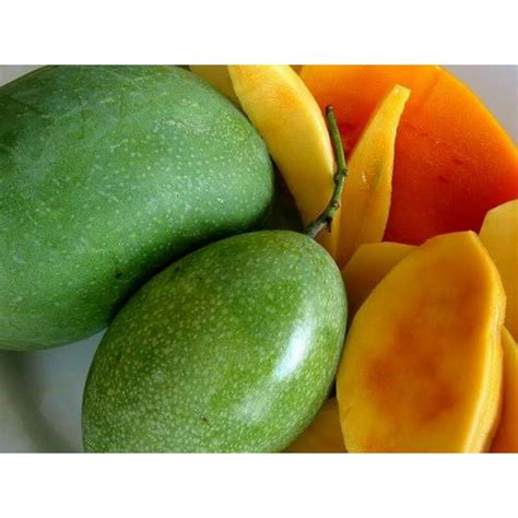 Jual Buah Mangga Manalagi | Shopee Indonesia