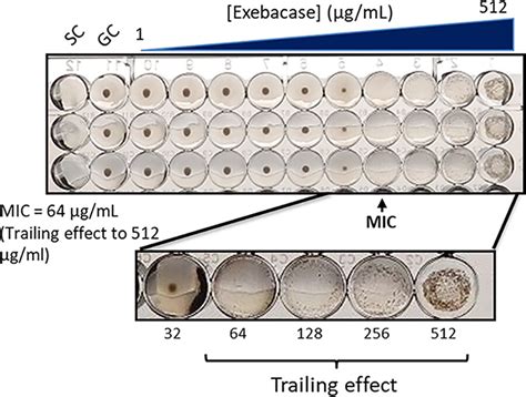 Development Of A Broth Microdilution Method For Exebacase