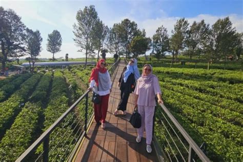 Goalpara Tea Park Sukabumi