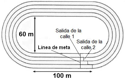 Dibujo De Una Pista De Atletismo Con Sus Medidas Reglamentarias Sexiz