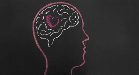 Ciencia Y Amor ¿qué Pasa En El Cerebro Cuando Nos Enamoramos