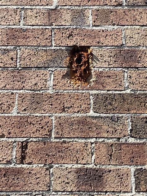 Help identify stain on brick wall : r/Home