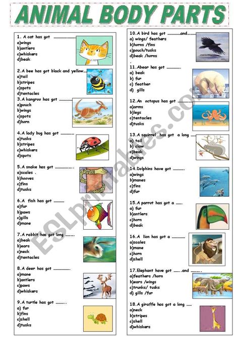 ANIMAL BODY PARTS - ESL worksheet by epit