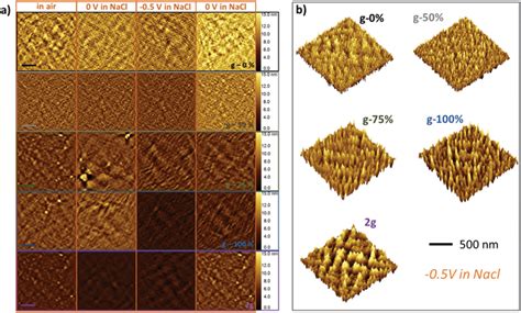 A Atomic Force Microscopy Afm Topography Measurements Of All The