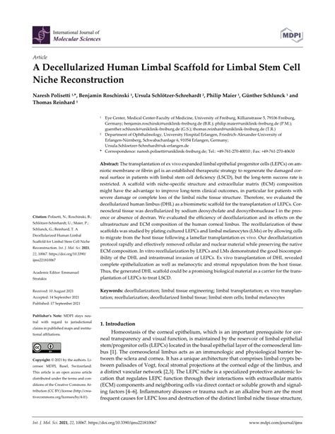 Pdf A Decellularized Human Limbal Scaffold For Limbal Stem Cell Niche Reconstruction