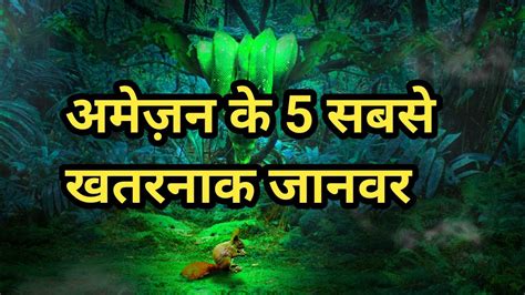 Amazon Jungle Ke 5 Sabse Khatarnak Janwar Amazon Rainforest Amazon