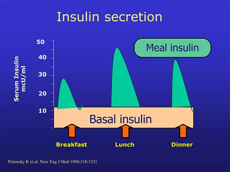insulin basicsp
