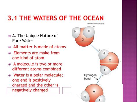 Ppt Ch Chemical And Physical Features Of Seawater And The World