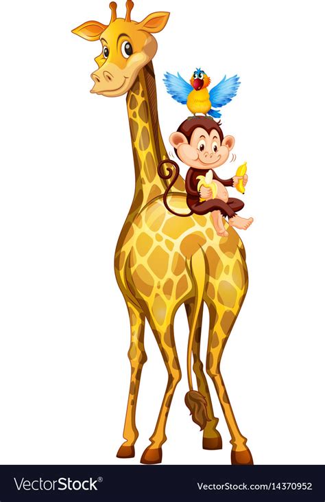 Giraffe and monkey on white background Royalty Free Vector