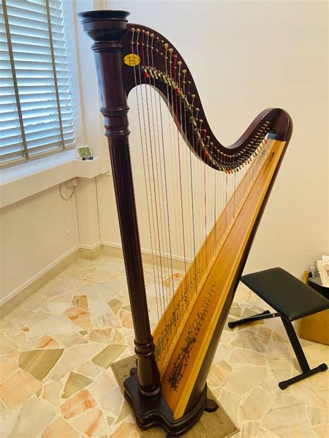 40 String Harp For Sale Lyon Healy Prelude 40 Hobbies Toys