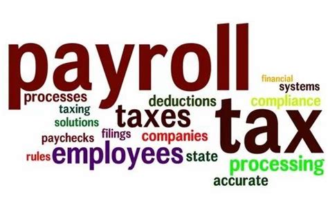 Accredium Provides Payroll Compliance Audit At Best Price In New Delhi