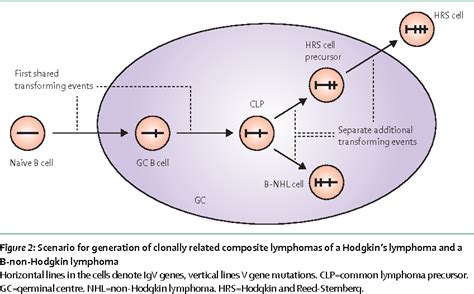 Pathogenesis Of Hodgkin Lymphoma