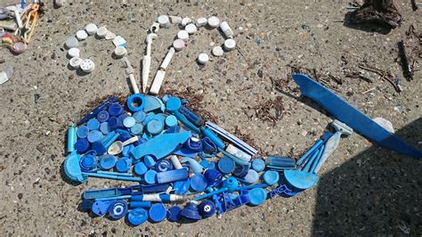 Plastic and Recycled Tideline Art - Tideline Art