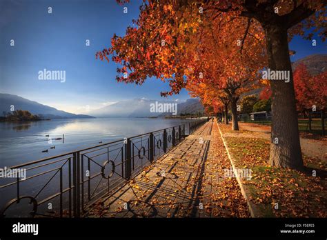 Autumn Colors In Lake Como Lakefront Promenade In Sorico Lombardy