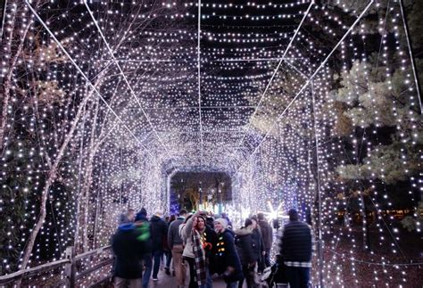 TOP LIGHT SHOWS HAPPENING IN METRO DETROIT THIS HOLIDAY SEASON - LittleGuide Detroit