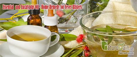 12 Easy and Best Home Remedies for Fever Blisters