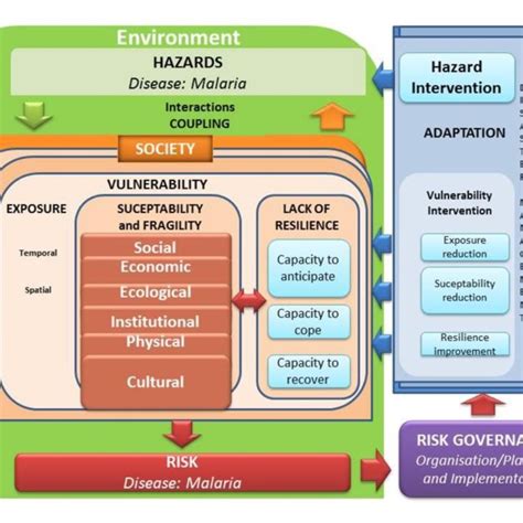 Conceptual Framework of Risk (Modified from the MOVE (2010) and HEALTHY ...